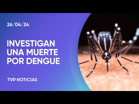 Confirmaron la primera muerte por coinfección de dengue en la Argentina