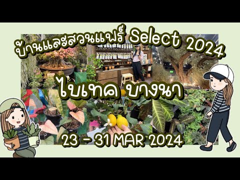 งานบ้านและสวนแฟร์Select2024