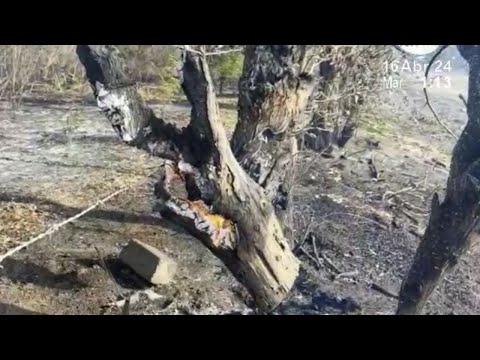 Incremento de incendios forestales por altas temperaturas en el departamento de León