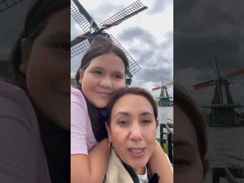 Molinos de viento • Amsterdam
