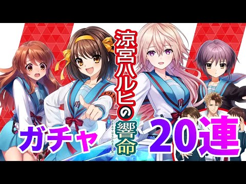 【黒猫のウィズ】黒ウィズ「涼宮ハルヒの響命」ガチャ10連【ガチャ】