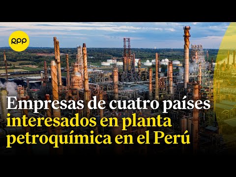 Países están interesados en invertir en una planta petroquímica en el Perú