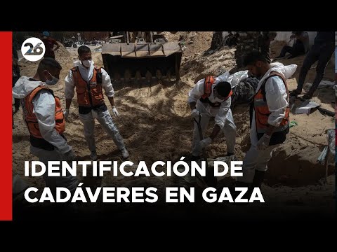 MEDIO ORIENTE | Trabajos de identificación de cadáveres en fosas comunes en Gaza