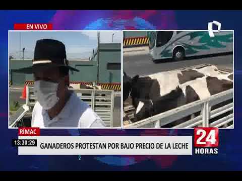 Rímac: ganaderos protestan por bajo precio de la leche
