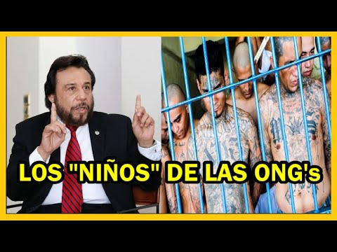 Felix Ulloa sobre los niños que señalan las ONG's y la oposición | Detenido ex alcalde