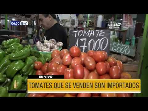 Sigue en aumento precios de verduras nacional