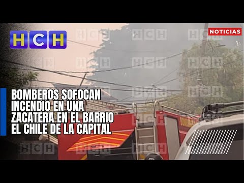 Bomberos sofocan incendio en una zacatera en el barrio El Chile de la capital