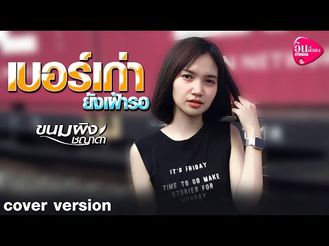 เบอร์เก่ายังเฝ้ารอ---ขนมผิง-ชญ เบอร์เก่ายังเฝ้ารอ---ขนมผิง-ชญ