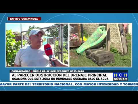 ¡Pérdidas! Decenas de casas inundadas y carros dañados, tras desborde de quebrada en Comayagua
