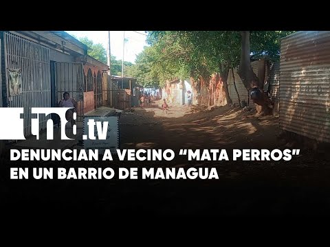 ¡Era para las ratas! Señalan a hombre de envenenar a perros y gatos en Managua