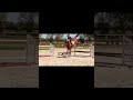 Springpferd DÉESSE , for sale jumping horse
