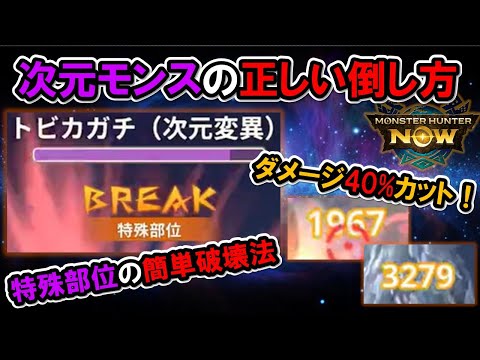 【次元変異モンスター】お勧めの装備と倒し方紹介『モンハンNow』