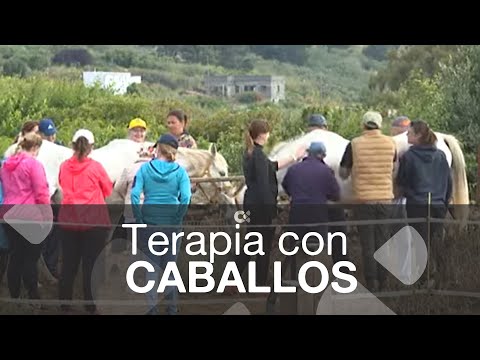 Los caballos, una herramienta terapéutica para las personas con discapacidad