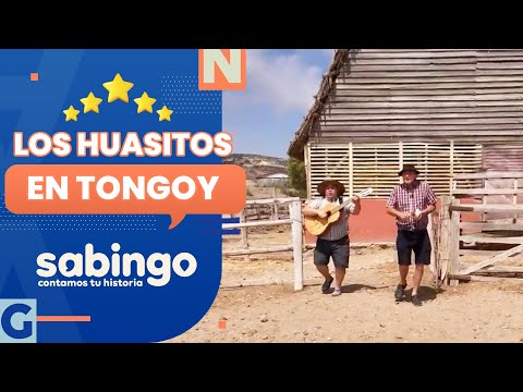 PETROGLIFOS Y BUCEO: Los Huasitos de aventura en Tongoy - Sabingo
