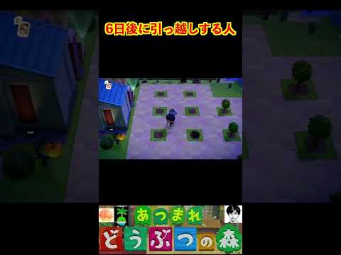 6日後に引っ越しする人 #あつまれどうぶつの森 #shorts #あつ森