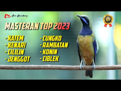 KUMPULAN  MASTERAN SUPER 2023 KATEM - KENARI - CILILIN - JENGGOT - CUNGKO - RAMBATAN - KONIN- CIBLEK