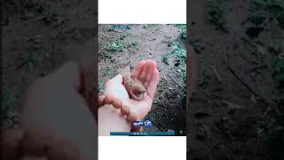 يرفض مغادرتها