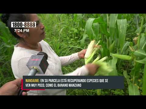 Mujer exitosa en el ramo de la agricultura diversificada en Comunidad de Diriomo - Nicaragua