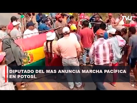 DIPUTADO DEL MAS ANUNCIA MARCHA PACÍFICA EN POTOSÍ, CONTRA ALZA DE LA CANASTA FAMILIAR