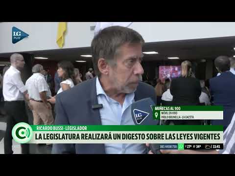 Ricardo Bussi: El plan de gobierno de Milei está en peligro porque el Congreso no lo acompaña