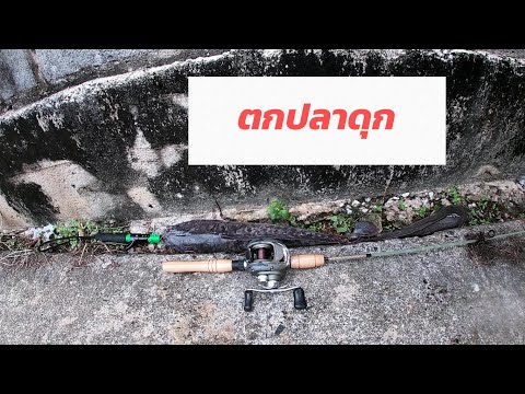 Gone-Fishing---ปลาดุกในคูระบาย Gone-Fishing---ปลาดุกในคูระบาย