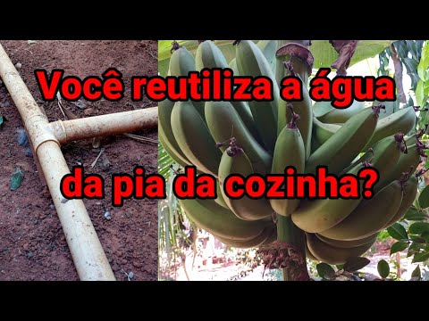 Thumbnail Video Youtube