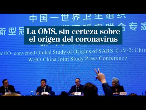 ¿Cómo surgió el coronavirus: las 3 teorías de la OMS que no pudieron aclarar en su viaje a Wuhan