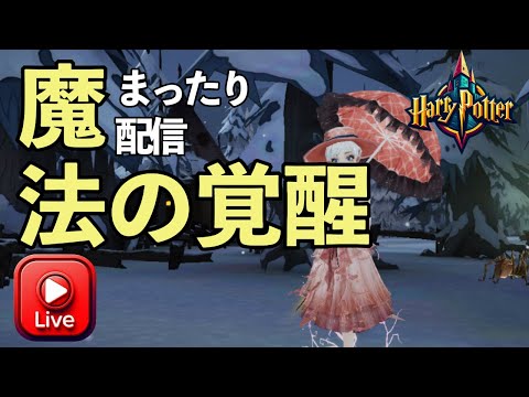 【ハリー・ポッター魔法の覚醒】まったり配信