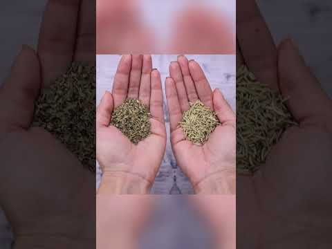 Thumbnail Video Youtube