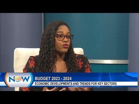 Budget 2023/2024 - Economic Development And Trends For Key Sectors