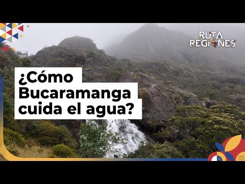 ¿Qué está haciendo la Alcaldía de Bucaramanga para cuidar el agua?