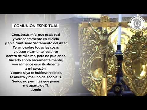 Santa Misa 29 de septiembre 2024 - XXVI Domingo Tiempo Ordinario