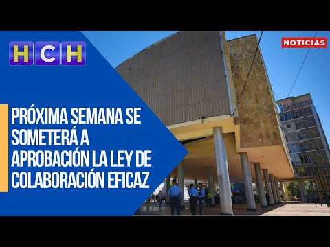 Próxima semana se someterá a aprobación la Ley de Colaboración Eficaz