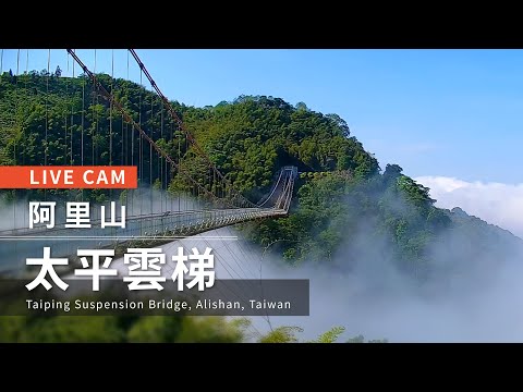 Taiping Suspension Bridge > Chiayi County > Tourism Administration,  Republic of China (Taiwan)