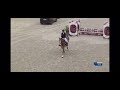 حصان القفز 4jarige merrie ( Kallmar VDL & Numero Uno )