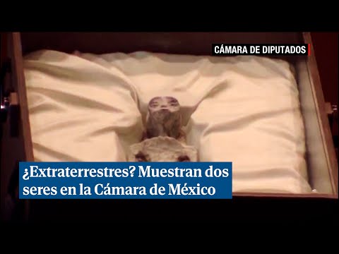 Un ufólogo muestra dos presuntos extraterrestres en la Cámara de Diputados de México