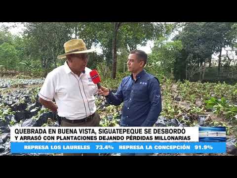 Quebrada inundó vivero de limones y aguacates en Siguatepeque