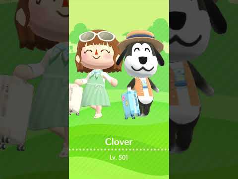 【ポケ森】マイキャンパーカード✈️春のトラベルコーデ🧳「🕶️サングラスつきハーフアップ」「キャミワンピコーデ」 3ポーズ #Shorts #ポケ森 #コンプリート #acpc #キャンパーカード