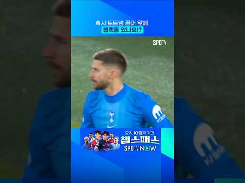 그런데 왜 빛카리오가 보이죠? 