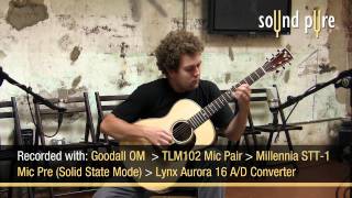 Goodall Brazilian Rosewood OM Traditional Acoustic Guitar Demo Video