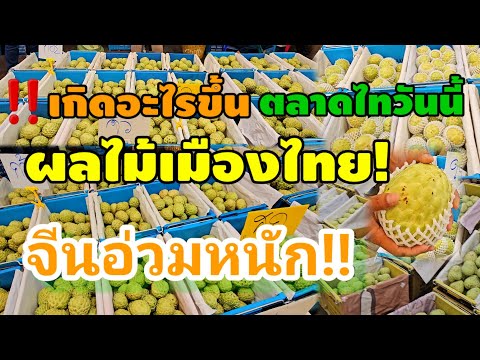 จีนอ่วม!น้ำตาแม่ค้าผลไม้ราคาส่