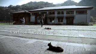 Houtong Cat Village Tour Video