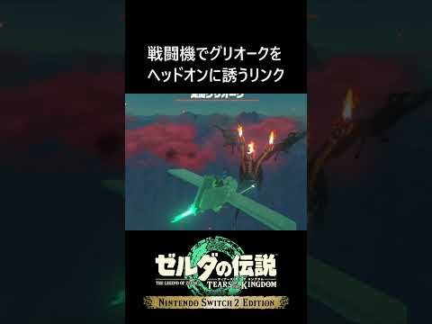 戦闘機でグリオークをヘッドオンに誘うリンク