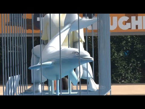 ONG planta una falla para exigir el 'indulto' de dieciocho delfines
