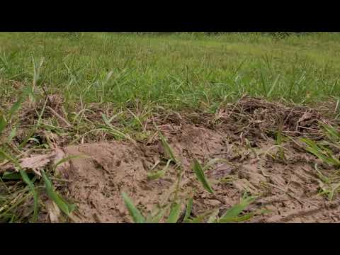 Moviola Concert Tickets - 2026 Tour Dates.