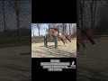 Show jumping horse Talentvol 6 jarig springpaard!