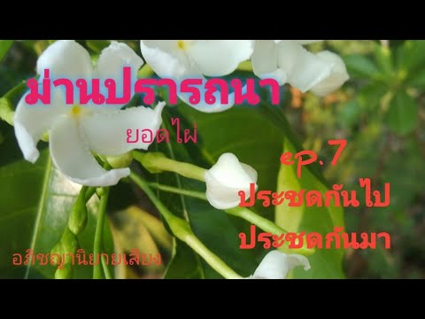 นวนิยายเสียงม่านปรารถนาep.717