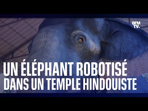 Un éléphant robotisé dans un temple hindou contre la maltraitance animale en Inde