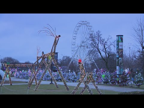 Weekend Break: Holiday Magic at the Brookfield Zoo - WGN Evening News at 9