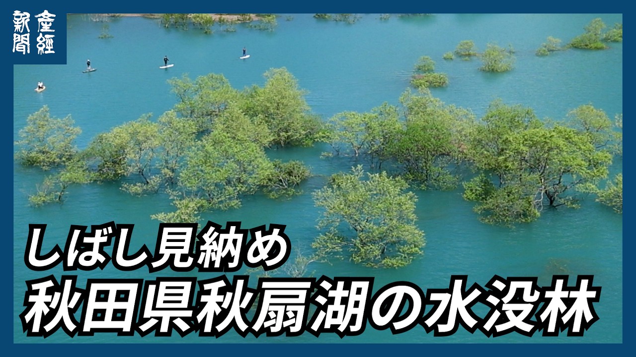 Akita